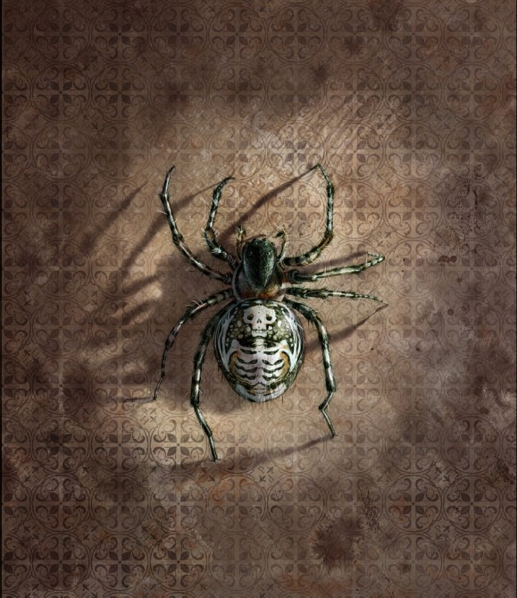 spider-with-shadowz-885x1024